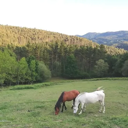 Lägenhet San Bartolome Etxea *